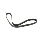 Serpentine belt Nissan Patrol VTC 4500 2005-2015 11720VC800