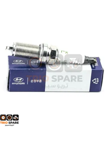 Hyundai Santa Fe Spark Plug 2015- 2020 